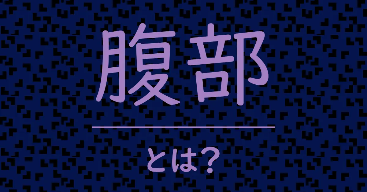 腹部とは？毒舌で解説！
