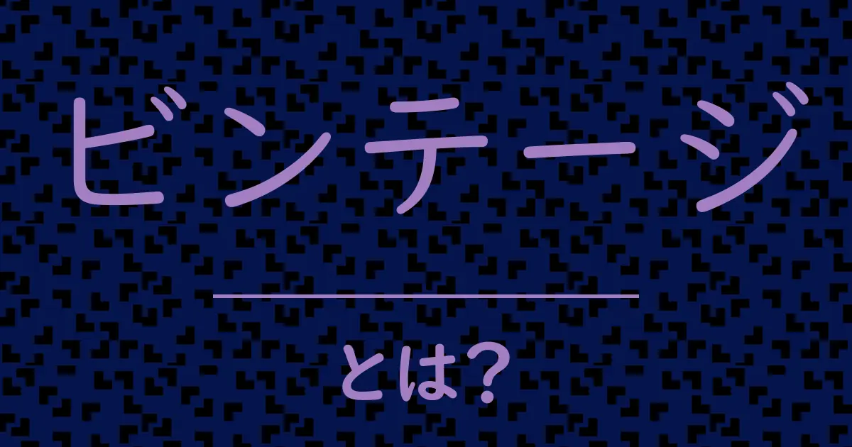 ビンテージとは?毒舌で解説!
