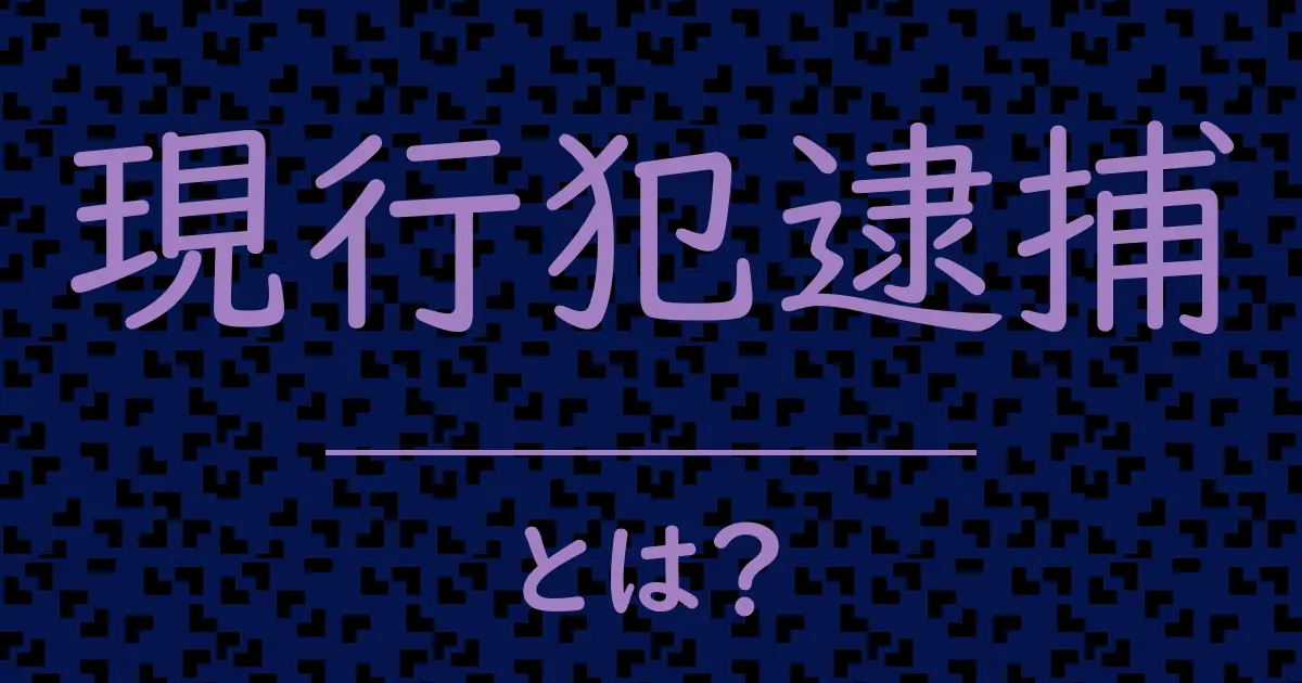 現行犯逮捕とは?毒舌で解説!