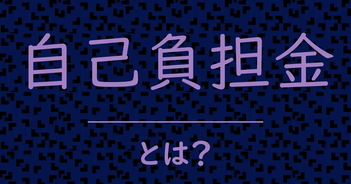自己負担金とは?毒舌で解説!