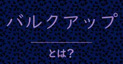バルクアップとは？毒舌で解説！
