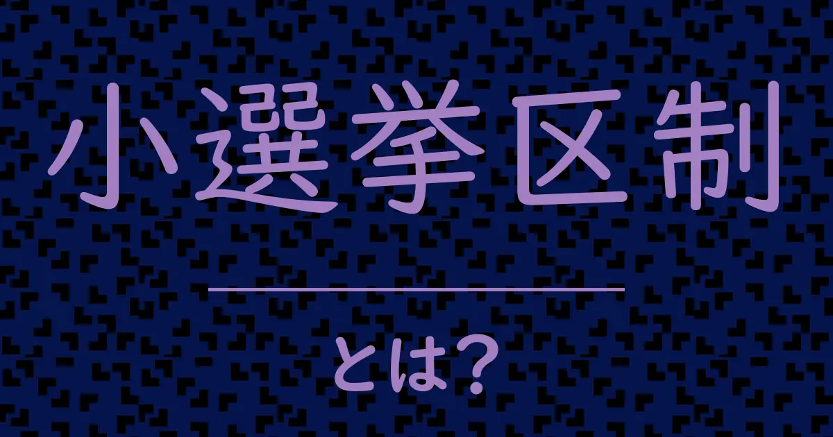 小選挙区制とは?毒舌で解説!