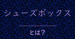 シューズボックスとは?毒舌で解説!