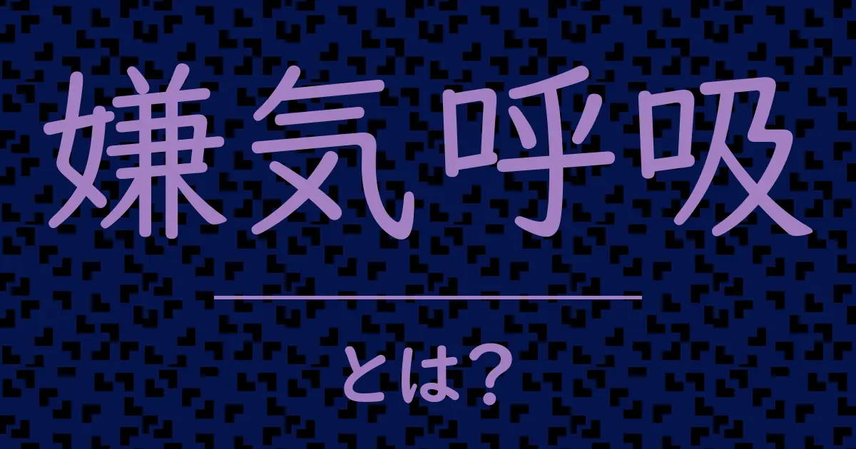 嫌気呼吸とは?毒舌で解説!