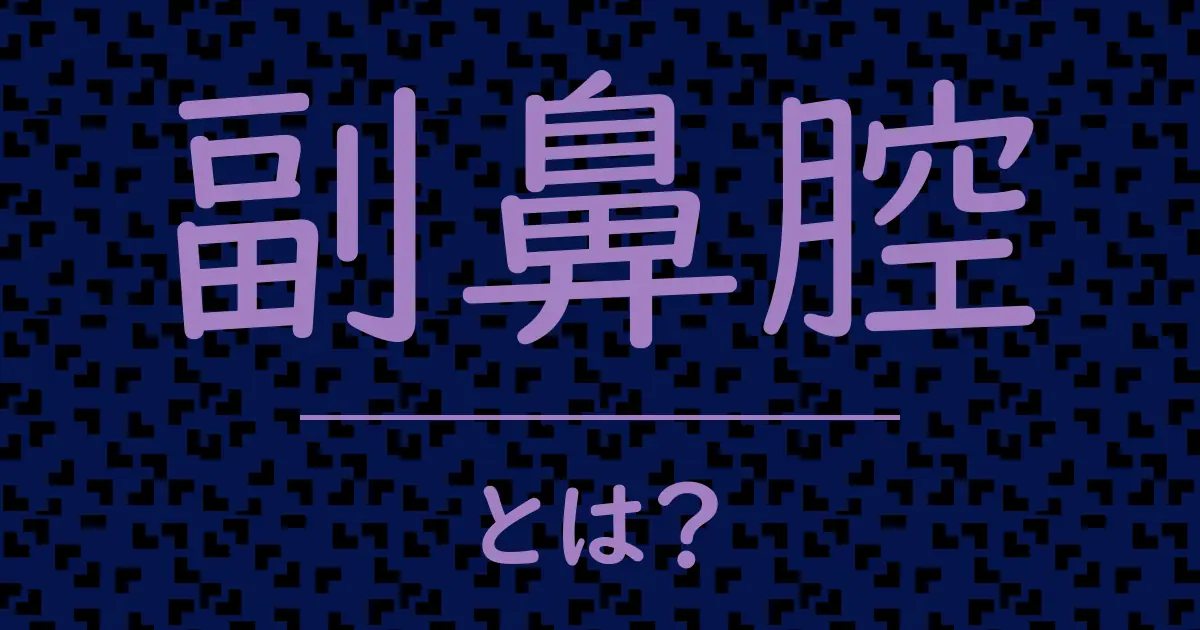 副鼻腔とは?毒舌で解説!