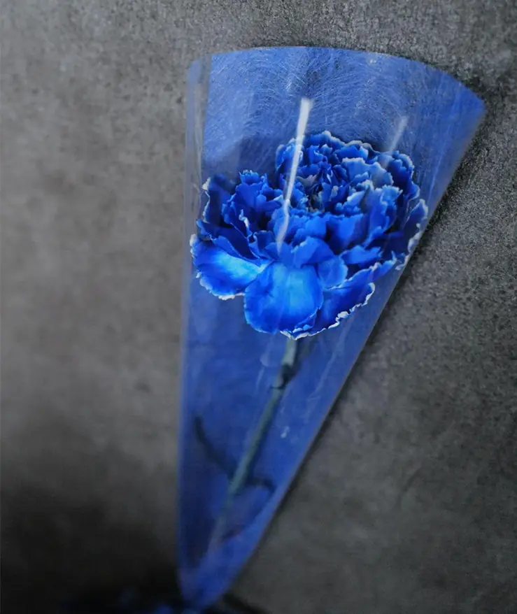 横浜DeNAベイスターズが「母の日準備チケット」を抽選販売開始