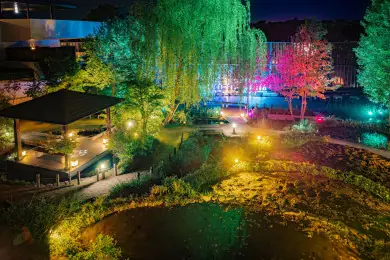 京都水族館「京の里山」エリア幻想的なライトアップ開催