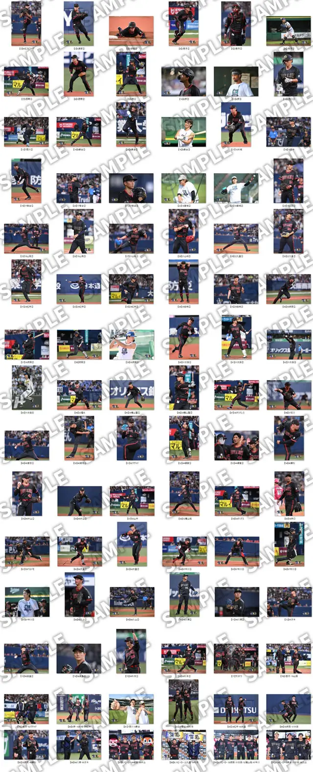 オリックス・バファローズ 8月マンスリーフォトのオンライン受注を案内 期間は9月19日から22日