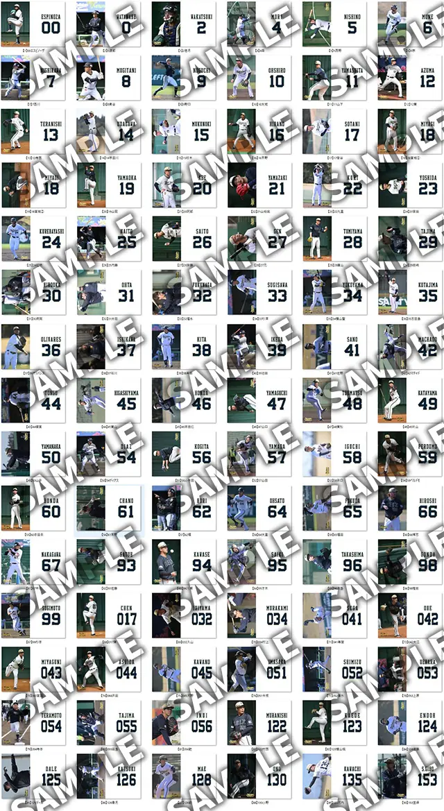 オリックス・バファローズの「マンスリーフォト」受注開始!特別な写真グッズが手に入るチャンス