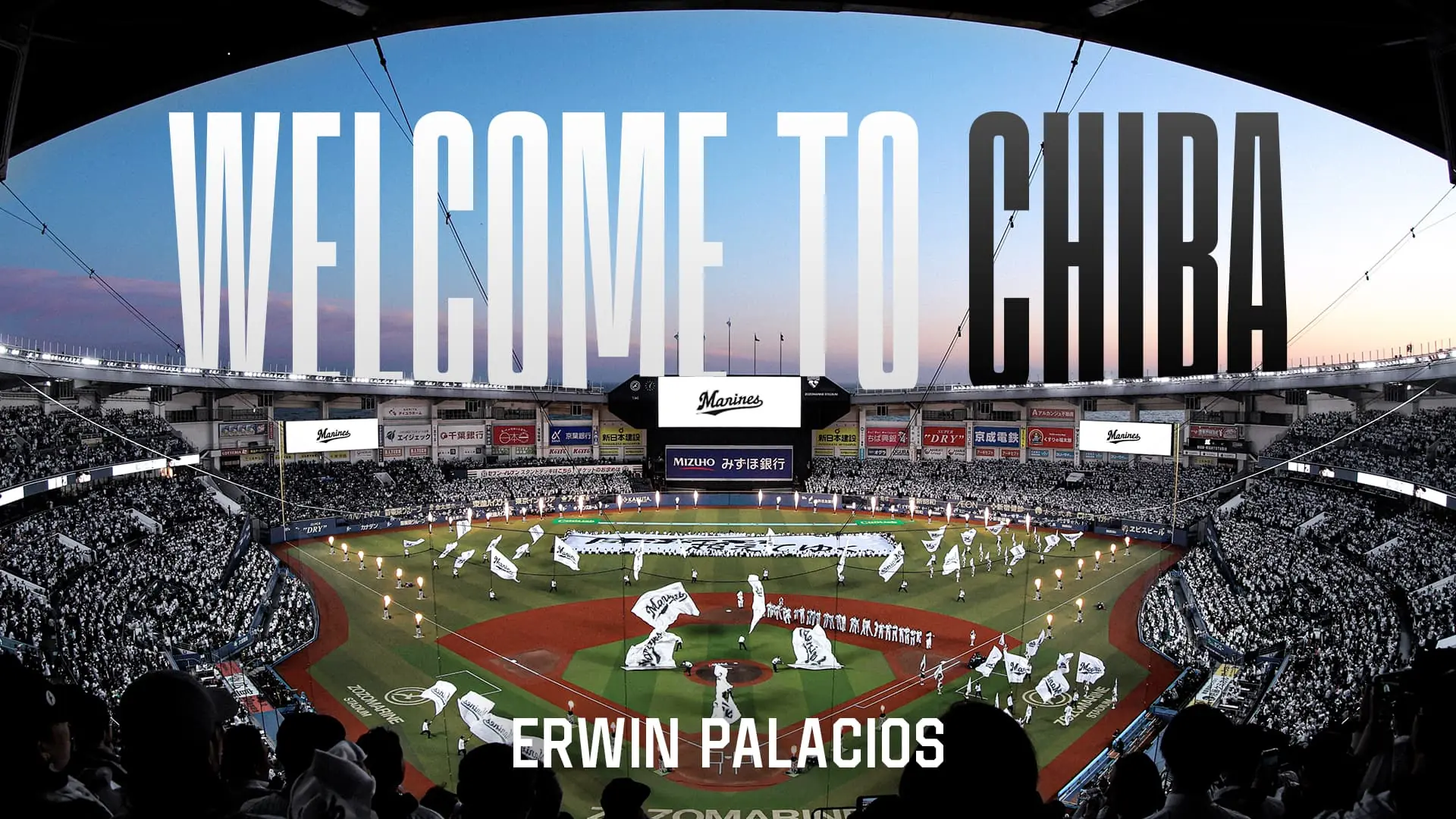 千葉ロッテマリーンズに新たな戦力、エルウィン・パラシオス投手が育成契約で入団