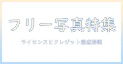 フリー素材の写真を無料で使えるサイトまとめ