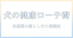 ドッグフードのローテーションと期間を徹底解説|期間別のコツと注意点