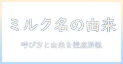 コーヒーにミルクだけの名前とは?呼び方と由来を徹底解説