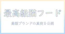 一番高いキャットフードを選ぶ際のポイント:価格だけでなく成分・品質を徹底比較
