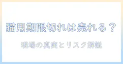 キャットフードの賞味期限切れは販売できるのか？購入前に知っておきたいポイントと安全性を徹底解説