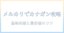 カナ ガン キャットフードをメルカリで探すときのポイントと注意点