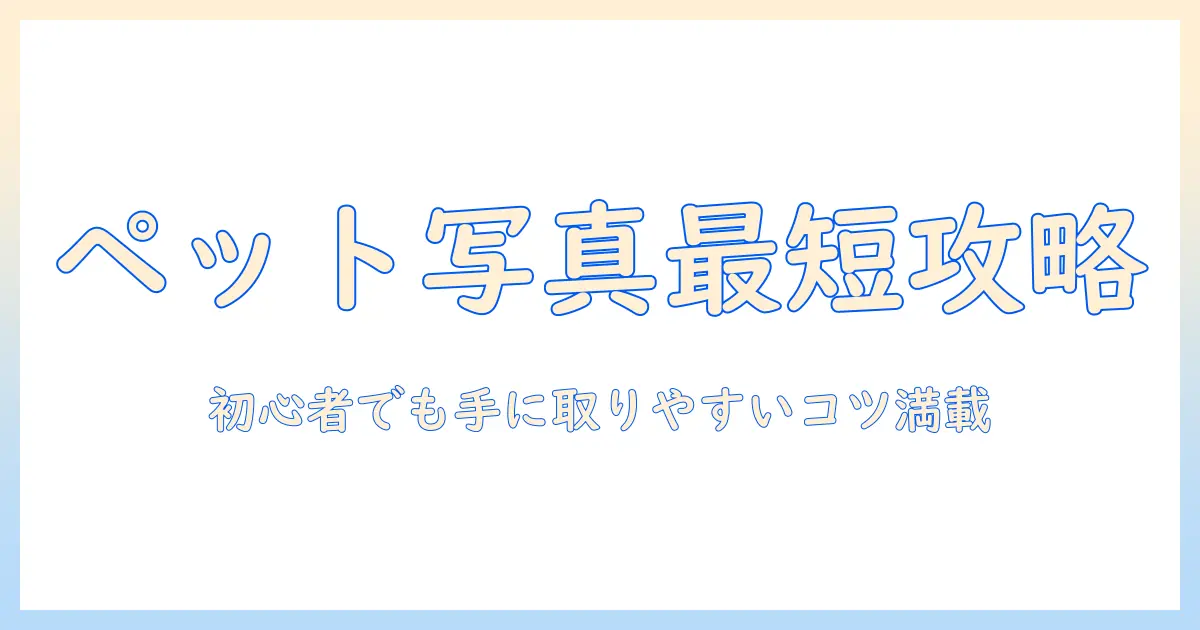 ペット 写真 グッズ おすすめ—初心者にも手に取りやすいアイテムと撮影のコツ