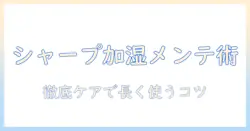 シャープのプラズマクラスター搭載加湿器のお手入れ完全ガイド