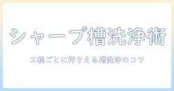 シャープの洗濯機で槽洗浄を行う手順を詳しく解説