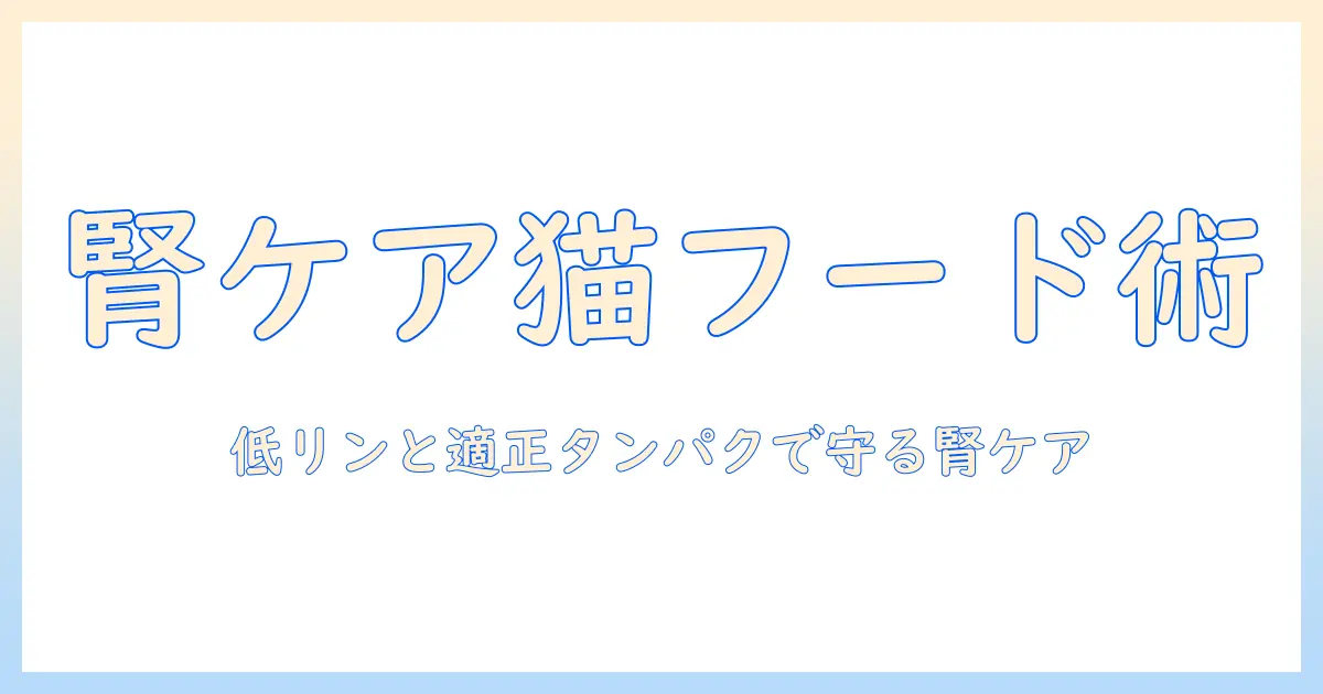 キャットフードとウェットの選び方で腎臓を守るケア術