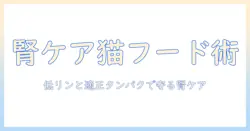 キャットフードとウェットの選び方で腎臓を守るケア術