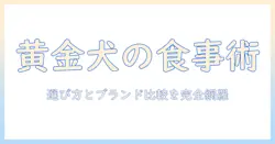 ゴールデンレトリバーのためのドッグフードおすすめガイド:選び方とブランド比較
