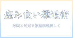 猫のキャットフードの盗み食いを防ぐ方法|原因と対策を徹底解説