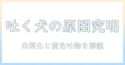 犬が吐く原因と対策|ドッグフードの未・消化・黄色の吐物を防ぐポイント