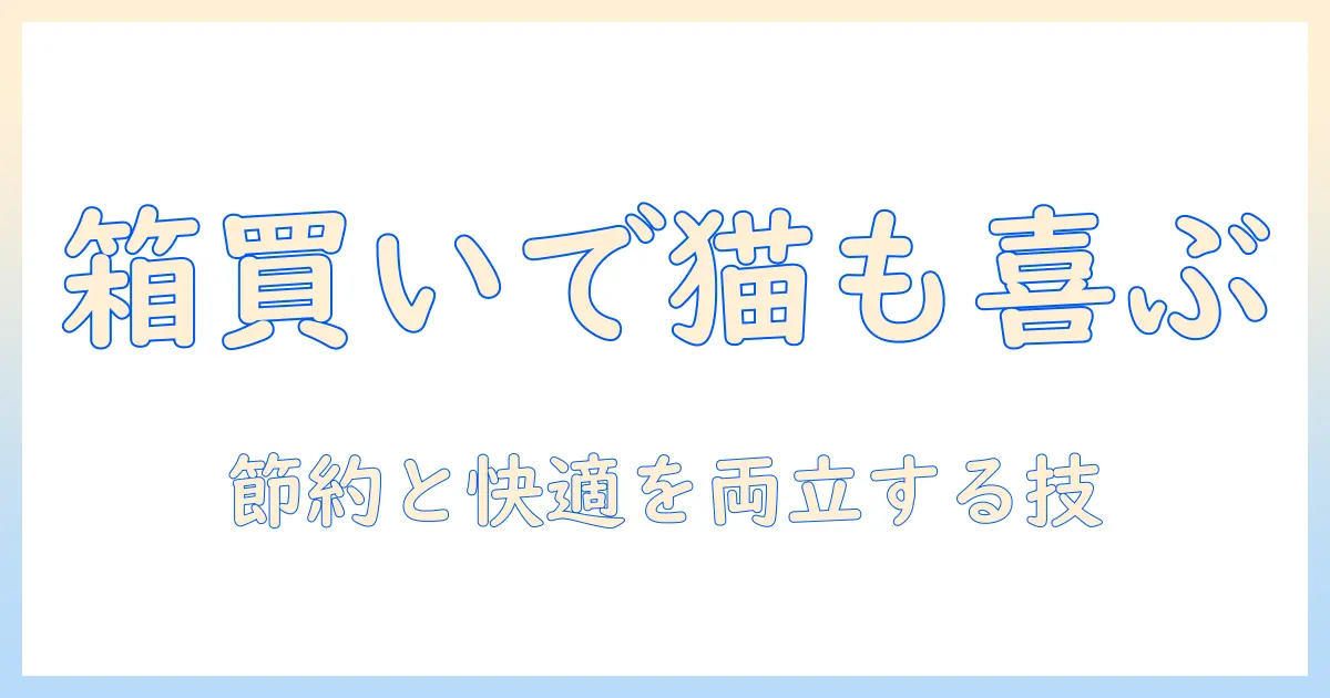 キャットフードを箱買いするコツと猫ハウス選びのポイント|主婦が教える節約術と快適さの両立