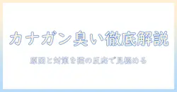 カナガンキャットフードの臭いを徹底解説｜匂いの原因と対策で猫の反応を見極める
