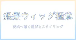 ドールの銀髪を完成させるウィッグ選びとスタイリングのコツ