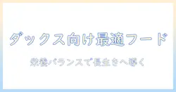 ダックスフンドにおすすめのドッグフードを徹底解説-選び方とおすすめポイント