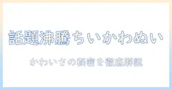めざましテレビで話題のちいかわぬいぐるみを徹底解説—かわいさの秘密と入手方法