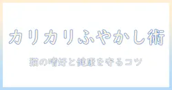 キャットフードのカリカリをふやかす方法と注意点：愛猫の健康と嗜好に合わせた選び方