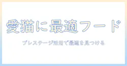 キャットフードの選び方を徹底解説—プレステージ口コミを活用して愛猫にぴったりを見つける方法