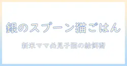 キャットフードの選び方と銀のスプーンを使う子猫の給餌ポイント