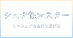 ミニチュアシュナウザーのドッグフード選びとブログでの情報発信術