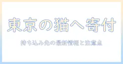 東京でキャットフードを寄付する方法|持ち込み先の最新情報と注意点