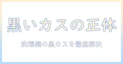 洗濯機の黒いカスの原因と対策—何回洗濯しても出る黒いカスを解消する方法