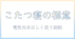 こたつで寝るときのコツ：電気毛布の使い方と安全に過ごす方法