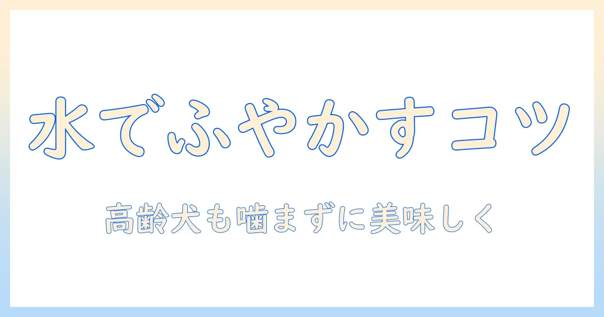 ドッグフードを水でふやかす方法とポイント｜高齢犬・歯の弱い愛犬にも安全な与え方を解説