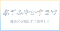 ドッグフードを水でふやかす方法とポイント|高齢犬・歯の弱い愛犬にも安全な与え方を解説