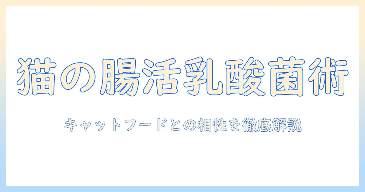 猫の乳酸菌とキャットフードの関係を解く完全ガイド
