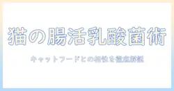 猫の乳酸菌とキャットフードの関係を解く完全ガイド