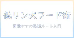 犬の低リン対策に役立つドッグフードの選び方