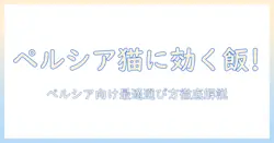 ドッグフードの口コミで判明!ペルシアに合うおすすめと選び方