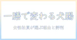 ドッグフード『一膳』の口コミ徹底ガイド|女性の会社員が選ぶ理由と実際の評判