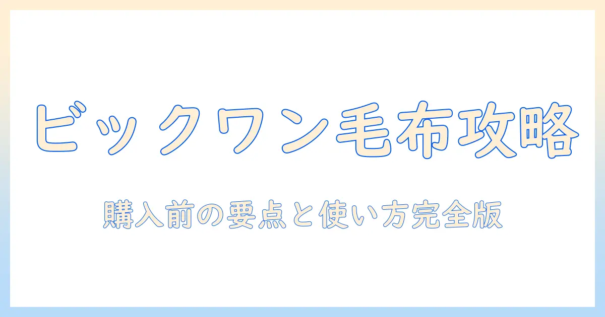 ビックワンの電気毛布を徹底解説: 購入前のポイントと使い方