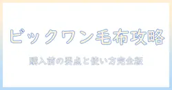 ビックワンの電気毛布を徹底解説: 購入前のポイントと使い方