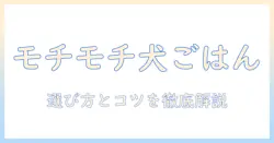ドッグフードの選び方|コンボのもっちりふっくら食感を引き出すポイント